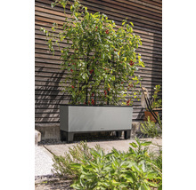 Verhoogde tuinbak met tomatenplanten en klimhulp voor een houten wand