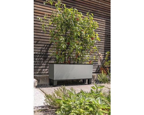 Verhoogde tuinbak met tomatenplanten en klimhulp voor een houten wand