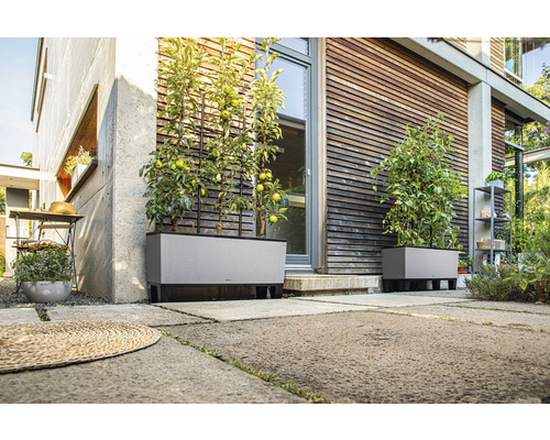 Scene met twee grijze plantenbakken met klimrekken voor een huis.