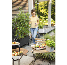 Tuinscene met een vrouw, een barbecue, tuinmeubelen en een verhoogde plantenbak met tomatenplanten.