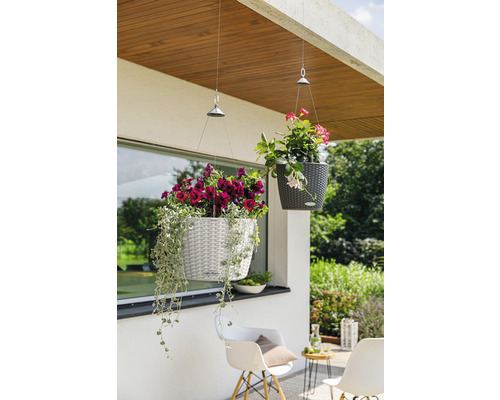 Scene met twee hangende plantenbakken met bloemen buitenshuis