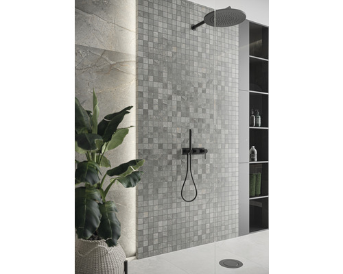 Badkamer met mozaïektegels, douche en plant