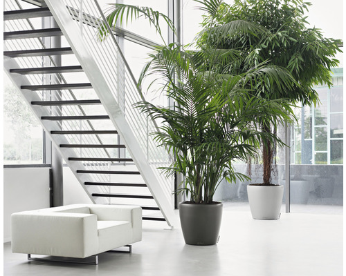 Licht interieur met trap, fauteuil en twee kamerplanten in potten.