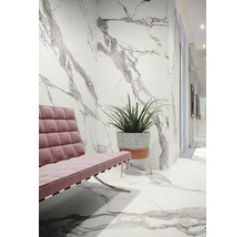 Wand- en vloertegel Calacatta wit-grijs gemarmerd 279,7x119,7 cm gerectificeerd