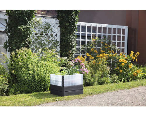 Tuin met plantenbak en bloemen