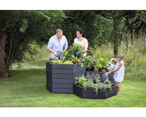Familie tuiniert in verhoogde bedden in de tuin.