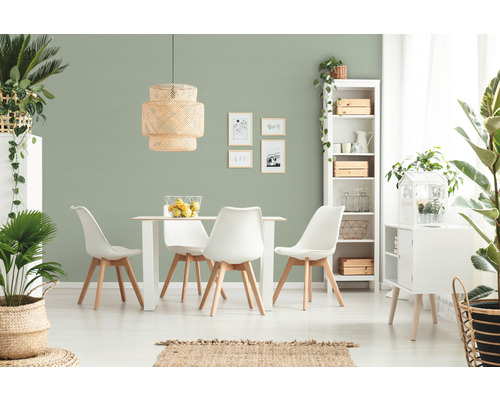 Lichte eetkamer met eettafel, stoelen, hanglamp, rek en kamerplanten