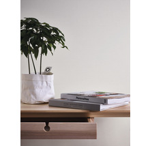 Decoratieve scène met kamerplant in papieren zak, boeken en houten bureau
