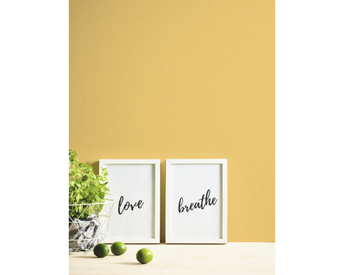Decoratieve wanddecoratie met twee ingelijste letterafbeeldingen en een potplant