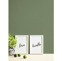Decoratieve wand met ingelijste afbeeldingen en plant
