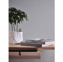 Decoratieve schikking met plant, boeken en houten console