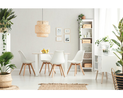 Lichte eetkamer met eettafel, stoelen, plank en kamerplanten voor een vriendelijke sfeer.