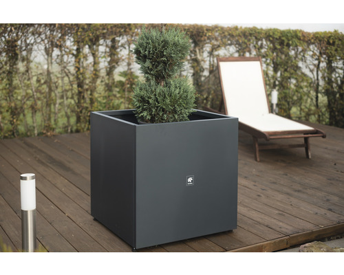 Vierkante metalen plantenbak met plant op een houten terras