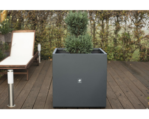 Vierkante plantenbak met plant op een terras