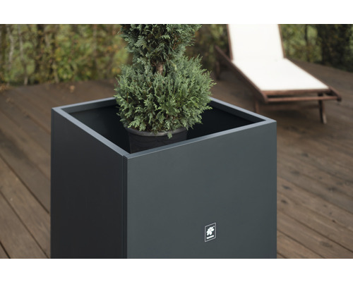 Vierkante plantenbak met plant voor buiten