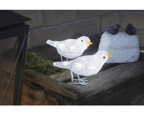Decoratieve, verlichte vogels van acryl op een houten tafel