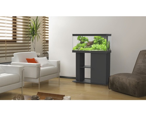 Woonkamer met aquarium op onderkast