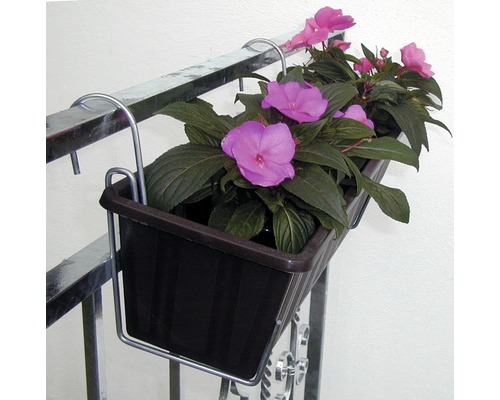 Balkonbak met bloemen op een reling