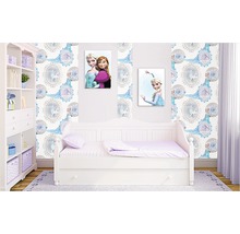 Kinderkamer met bed, plank, 'Frozen'-behang en muurschilderingen