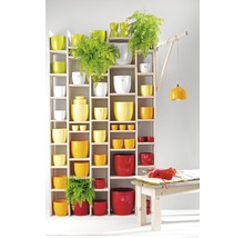 Stellingkast met plantenbakken in verschillende maten en kleuren, samen met planten en een lamp