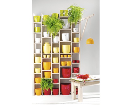 Stellingkast met plantenbakken in verschillende maten en kleuren, samen met planten en een lamp
