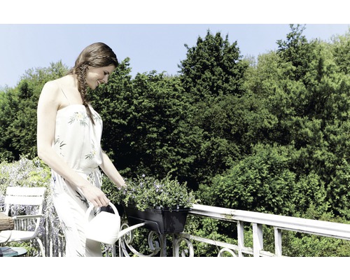 Vrouw geeft bloemen in een balkonbak water met een gieter.