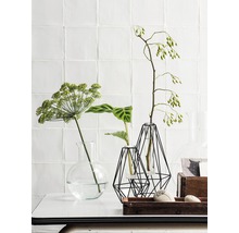 Decoratieve opstelling met planten en geometrische vazen