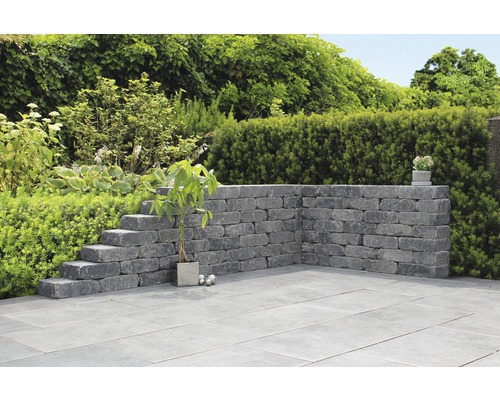 Tuin met muur, trap en planten