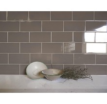 Wandtegel Verm woody grey 10x20 cm