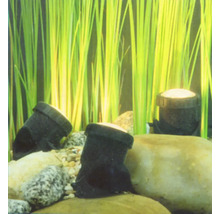Aquariumdecoratie met stenen en planten