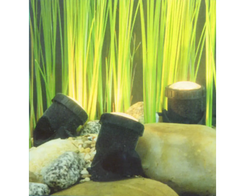 Aquariumdecoratie met stenen en planten