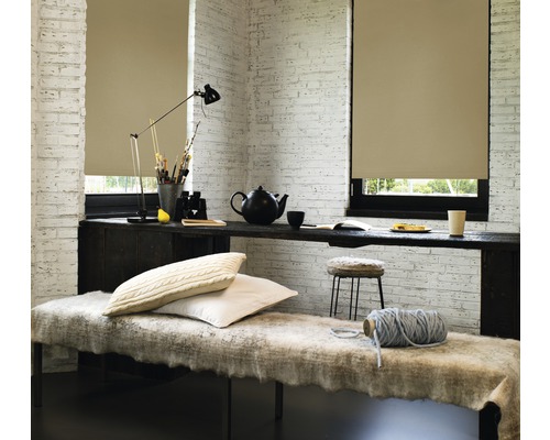 Interieur met rolgordijnen voor de ramen, bank en tafel