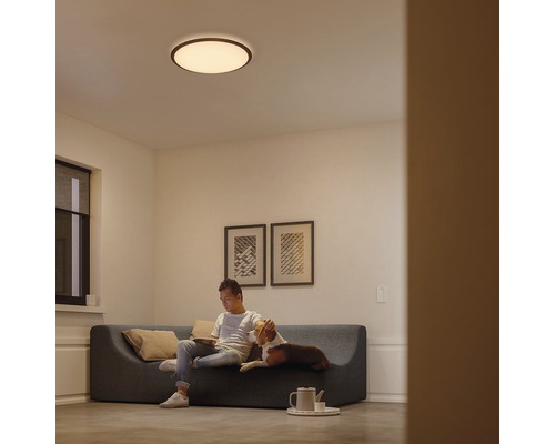 Woonkamer met plafondlamp, bank, man en hond