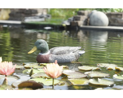 Decoratieve eendenfiguur zwemt in de vijver tussen waterleliebladeren.