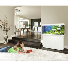 Woonkamer met aquarium op onderkast, gevuld met vissen, planten en stenen