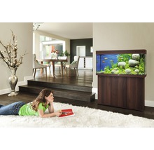 Woonkamer met aquarium op onderkast en een vrouw op een vloerkleed