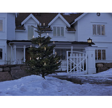 Verlichte kerstboom voor een huis