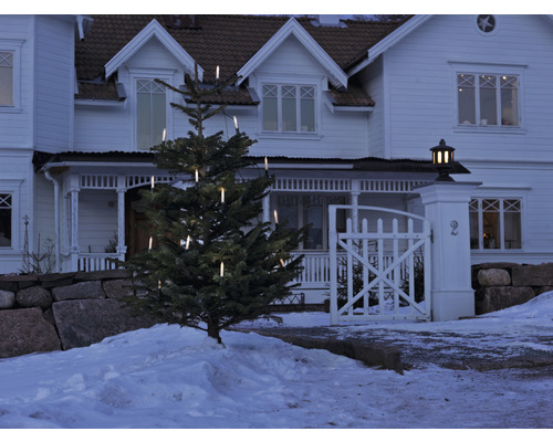 Verlichte kerstboom voor een huis