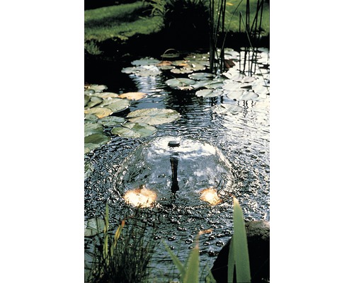 Tuinvijver met fontein en waterlelies