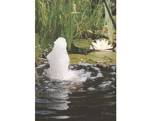 Vijver met fontein en waterlelie