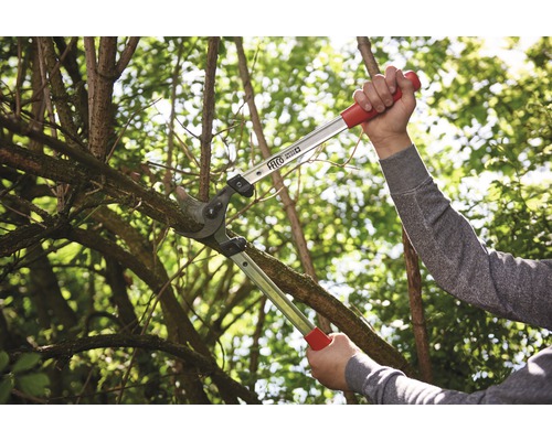 Iemand snoeit een boomtak met een takkenschaar.