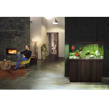 Woonkamer met aquarium, open haard en lezende man