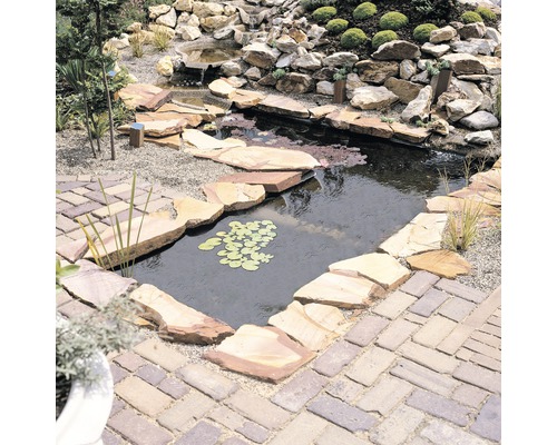 Tuinvijver met stenen rand en waterleliebladeren