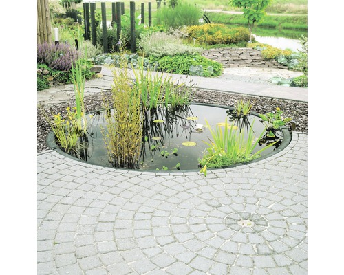 Tuinvijver met waterplanten en stenen bestrating in een tuin.