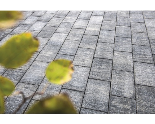 Grijze straatstenen vormen een tuinpad.