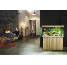 Woonkamer met aquarium, open haard en zittende man