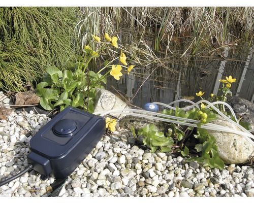 Vijverbeluchter met luchtslang en bruissteen bij de tuinvijver