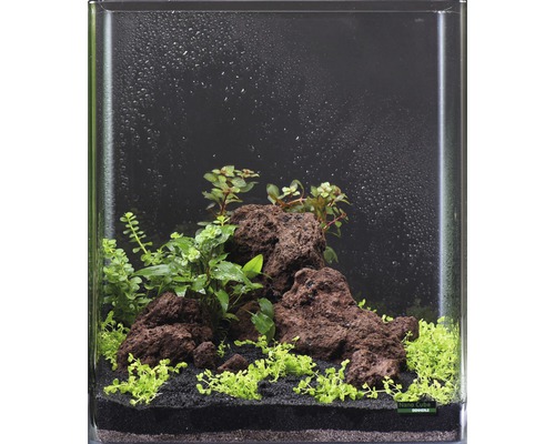 Decoratief nano-aquarium met planten en lavastenen
