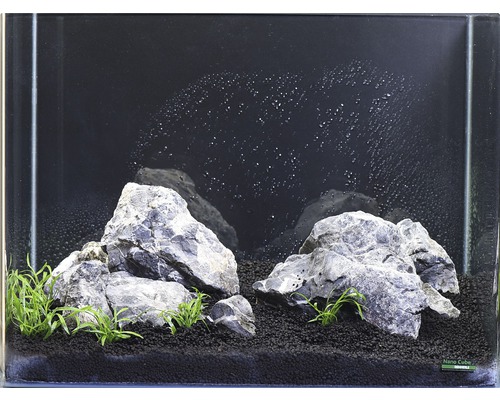 Ingericht aquarium met stenen, planten en bodembedekking