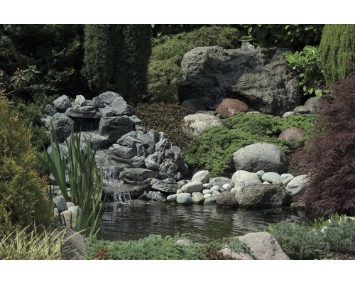 Tuinvijver met waterval, stenen en verschillende planten
